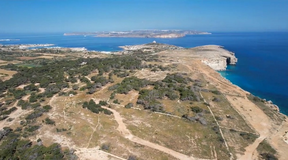 Garigue in Malta and Bees