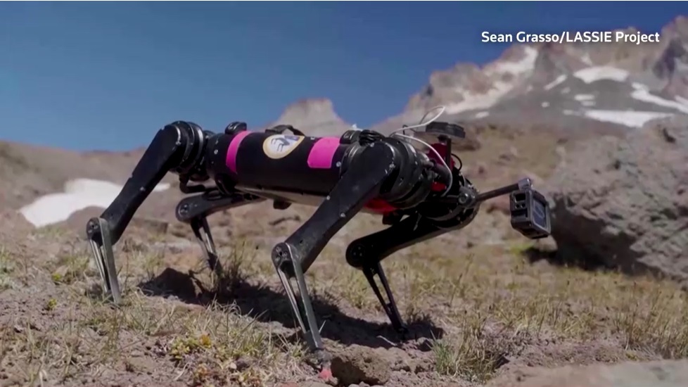 Engineers train dog robot to walk on Moon