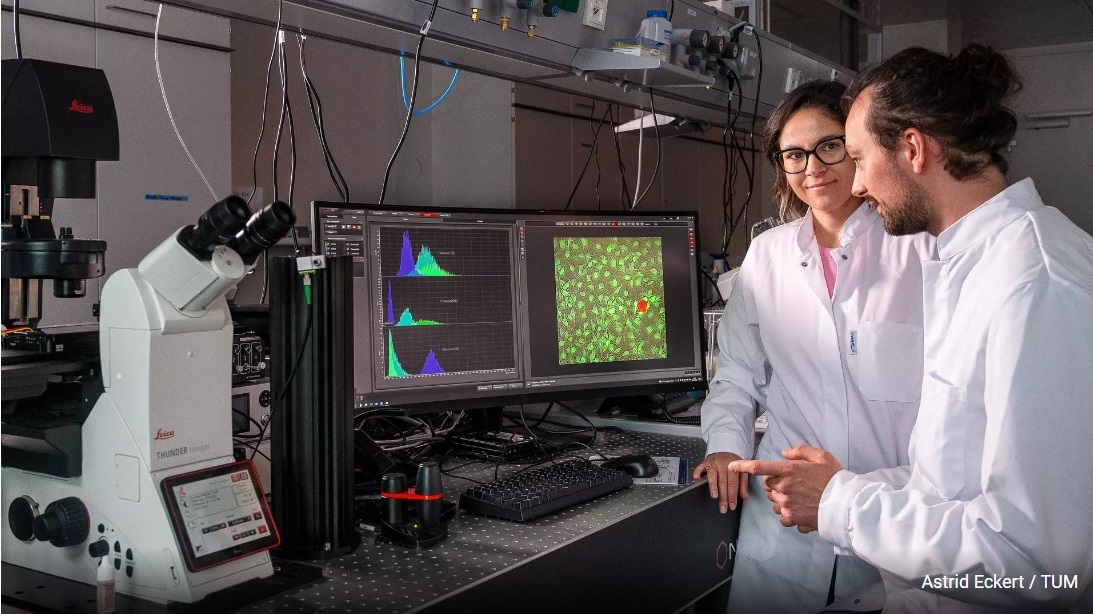 Breakthrough microrobotics: targeted cell stimulation unveiled