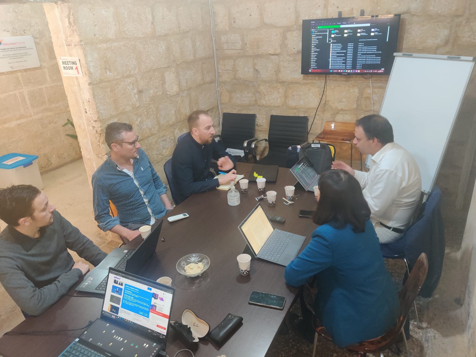 PROMISE first mentoring session