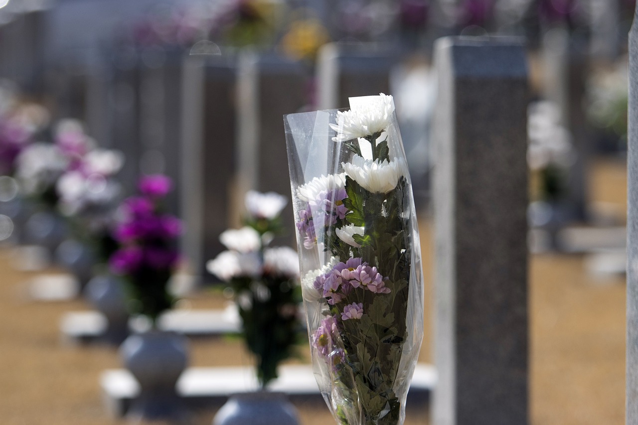 Valencia cemeteries to become solar energy hubs