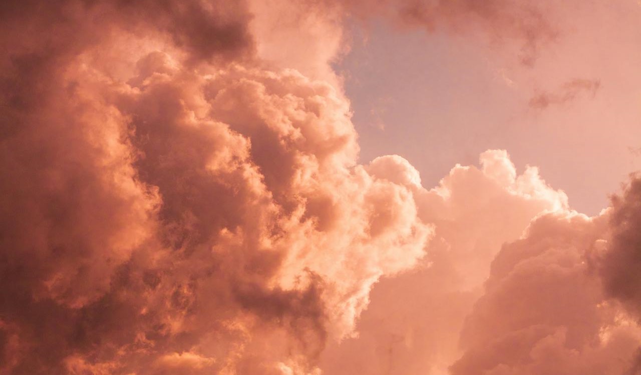 EU's first onshore carbon removal project launched in France