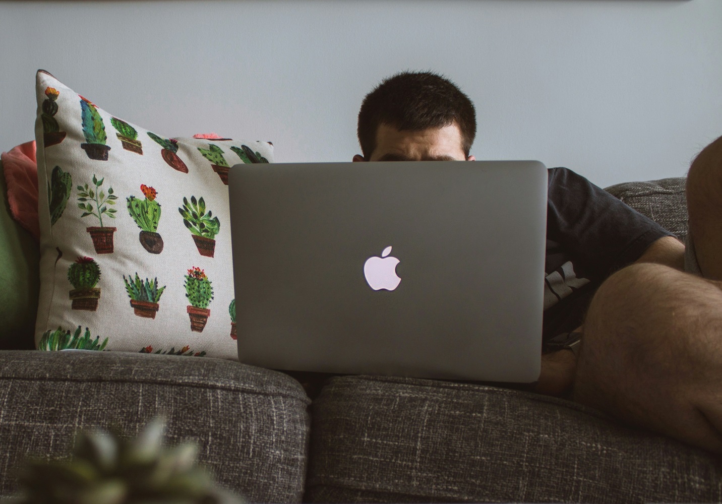 EU adds XXNX to strictly regulated digital platforms list