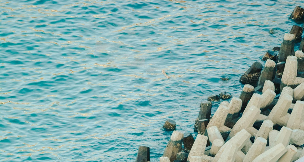 Meta unveils plans for the world’s longest subsea cable